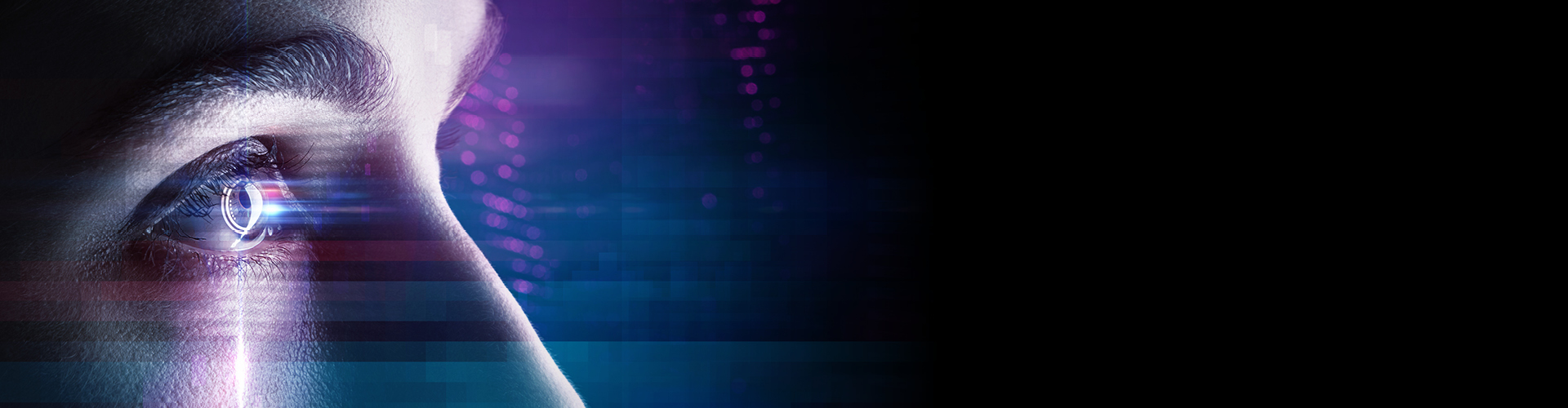 תצוגת סינאל